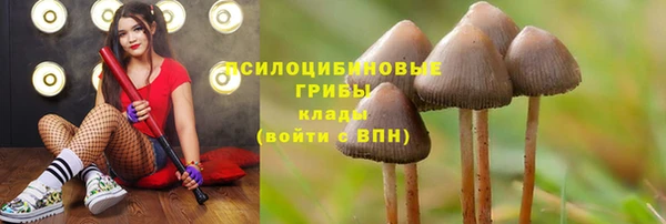 соль ск Арсеньев
