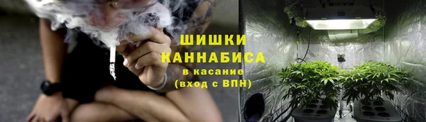 PSILOCYBIN Алексеевка