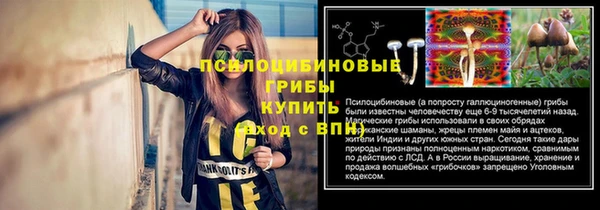 таблы Аркадак